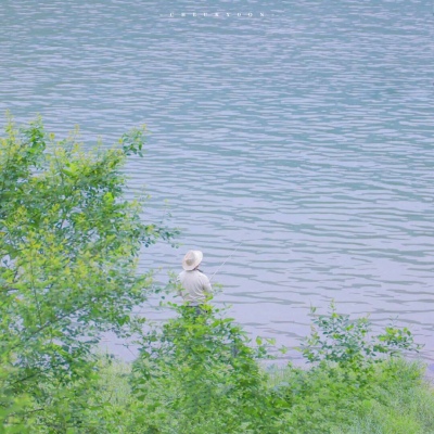 Furry绘画避坑实用指南兽圈社群